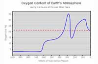 Oxygen Levels