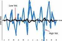 Share Price Volatility